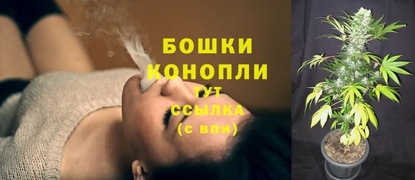 бошки Нягань