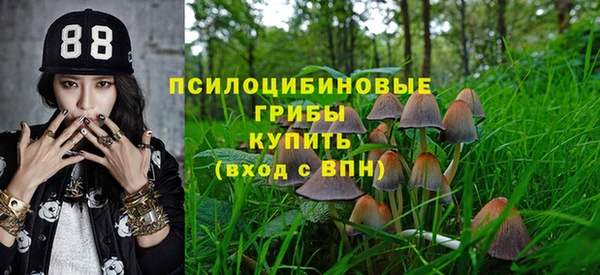 не бодяженный Нязепетровск