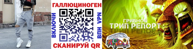 Галлюциногенные грибы ЛСД  продажа наркотиков  Хотьково 